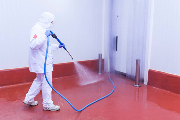 Best Sidewalk and Walkway Cleaning  in Ridge Manor, FL