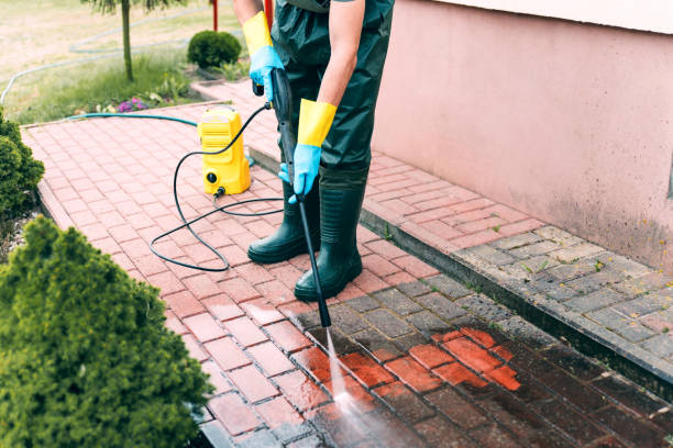 Best Solar Panel Cleaning  in Ridge Manor, FL